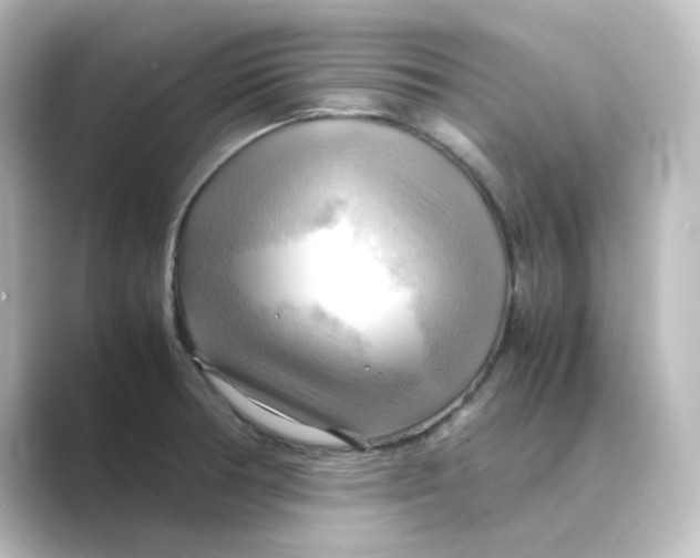 X0000088741378200706212049