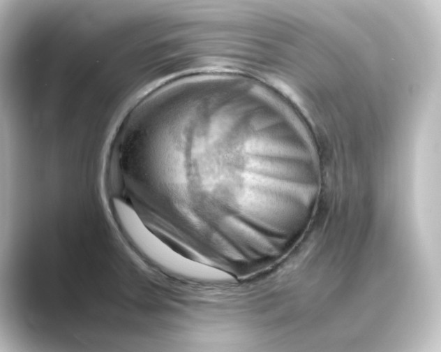 X0000088741379200706212049