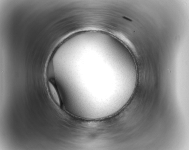 X0000088741380200706212049