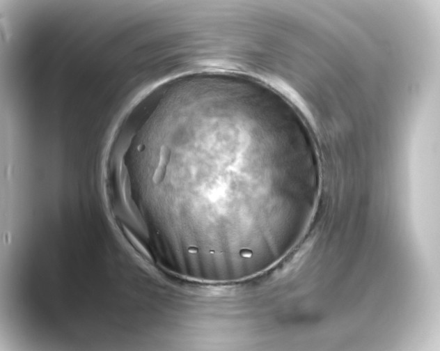 X0000088741381200706212049