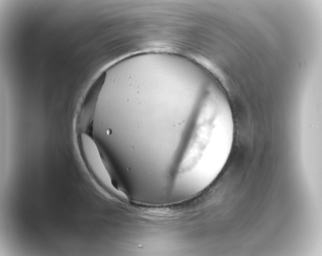 X0000088741383200706212049