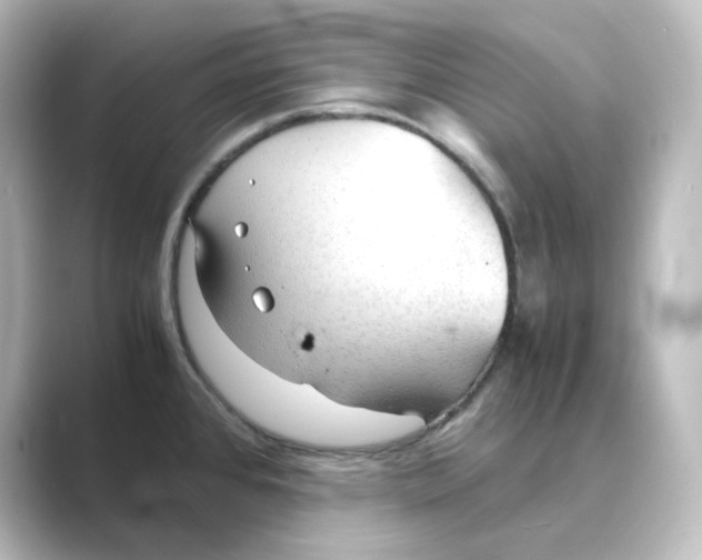 X0000088741384200706212049