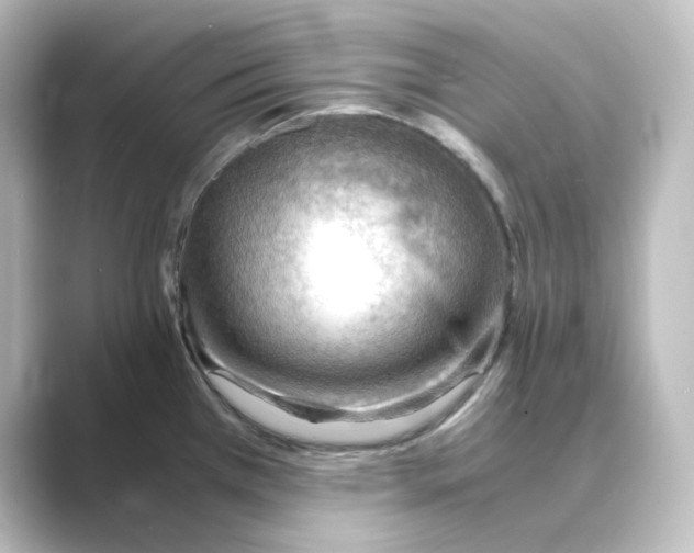 X0000088741385200706212049