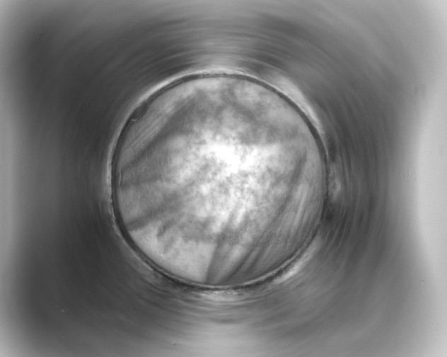 X0000088741388200706212049