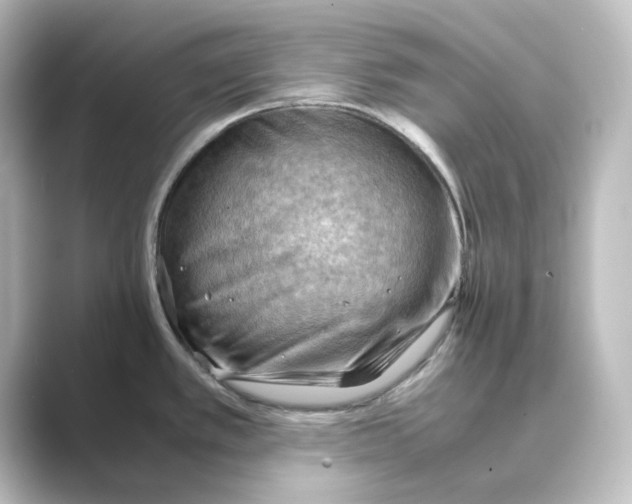 X0000088741389200706212049