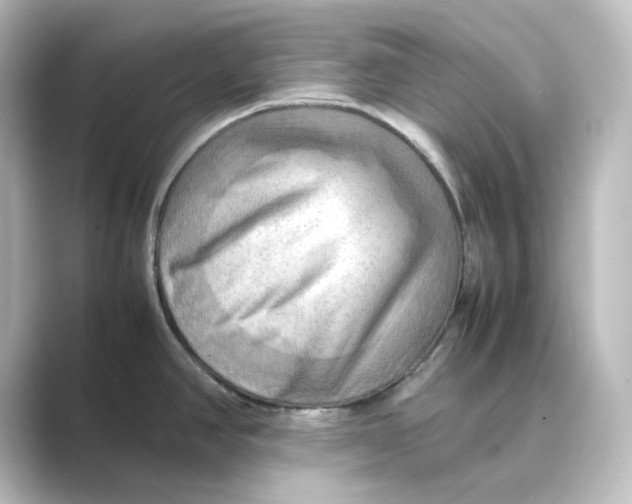 X0000088741390200706212049