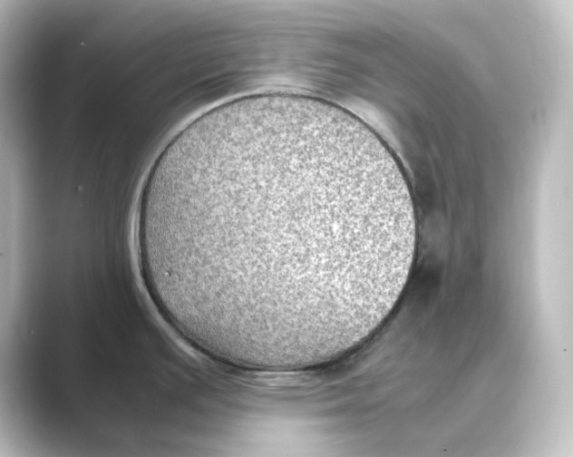 X0000088741391200706212049