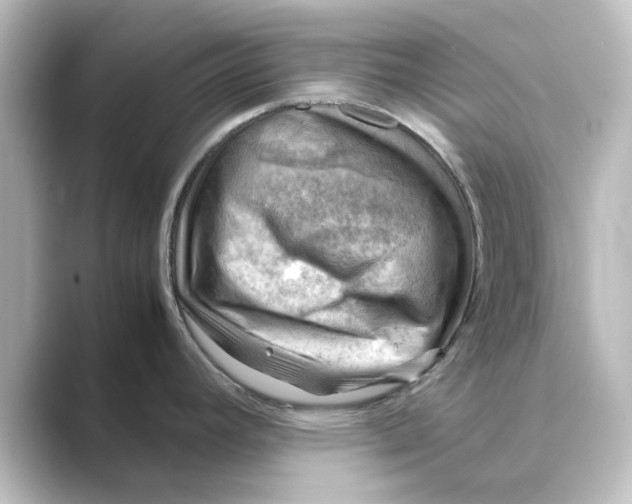 X0000088741392200706212049