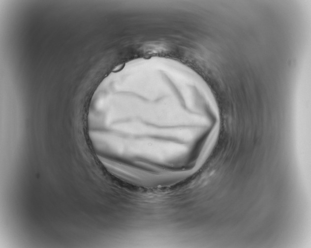 X0000088741393200706212048