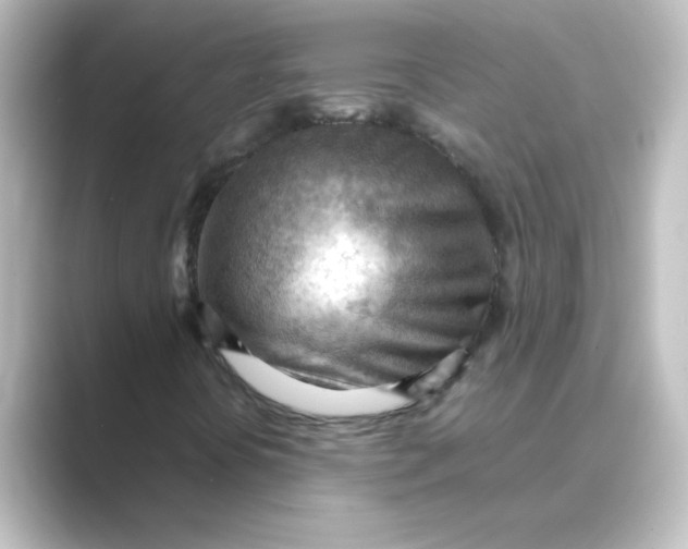 X0000088741394200706212048