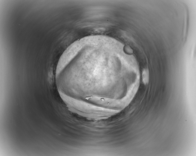 X0000088741395200706212048