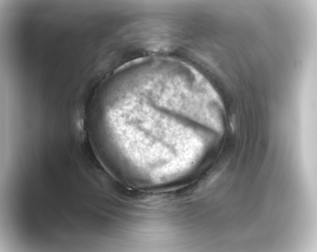 X0000088741396200706212048