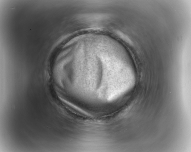 X0000088741400200706212048