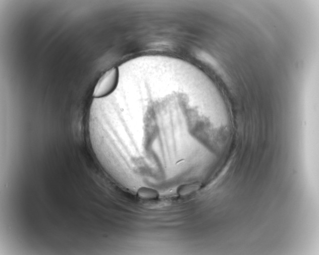 X0000088741403200706212048