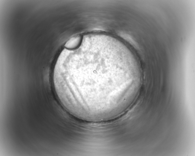 X0000088741404200706212048