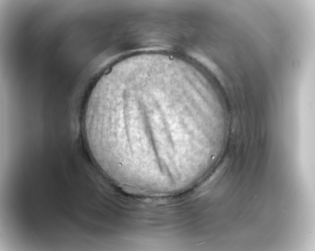 X0000088741407200706212048