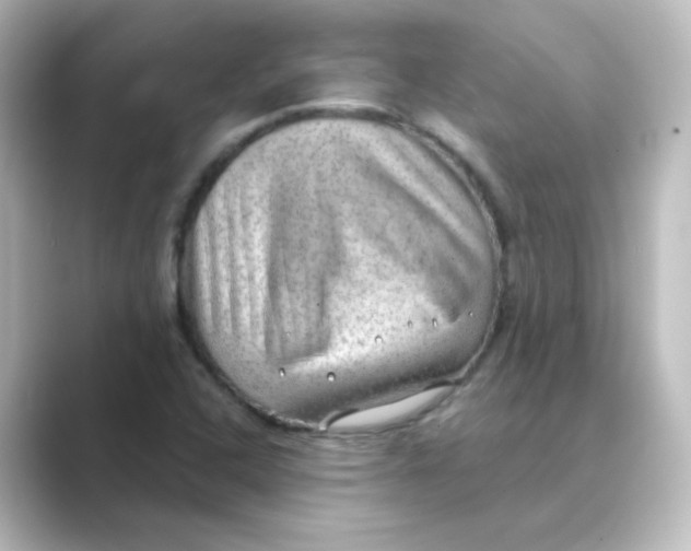 X0000088741408200706212048