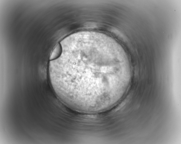 X0000088741409200706212048