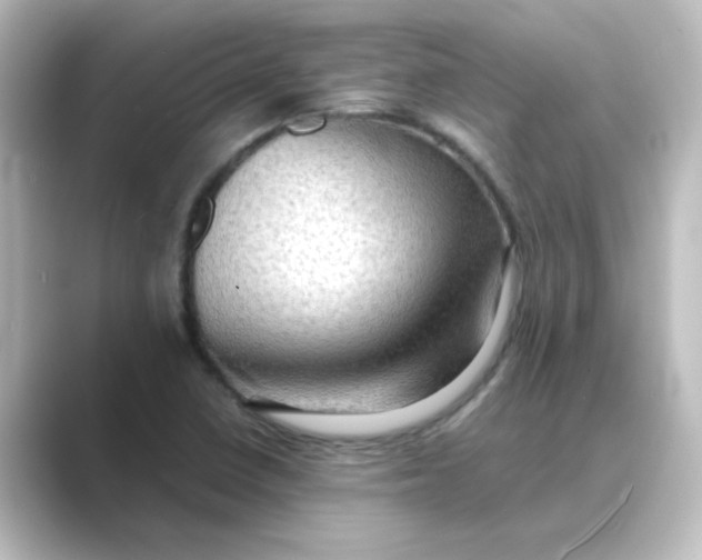 X0000088741410200706212048