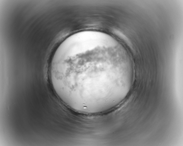 X0000088741411200706212048