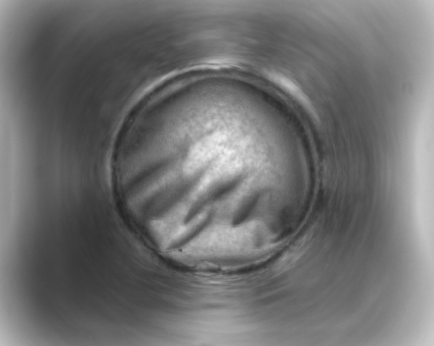 X0000088741412200706212048