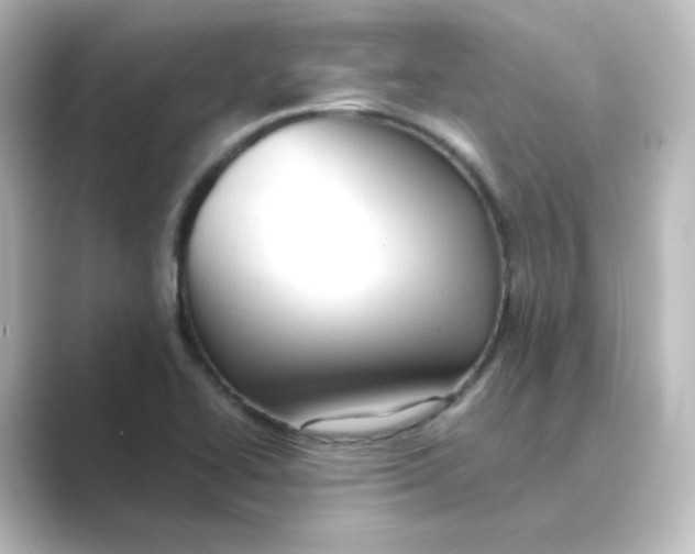 X0000088741414200706212048