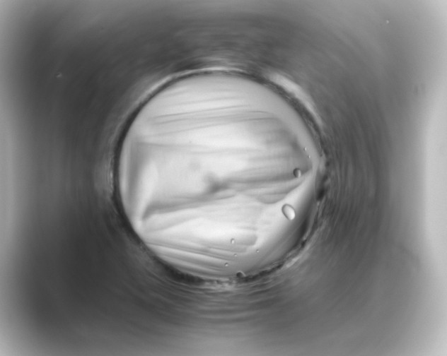 X0000088741415200706212049