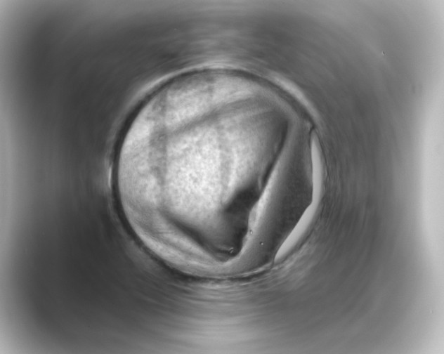 X0000088741416200706212049