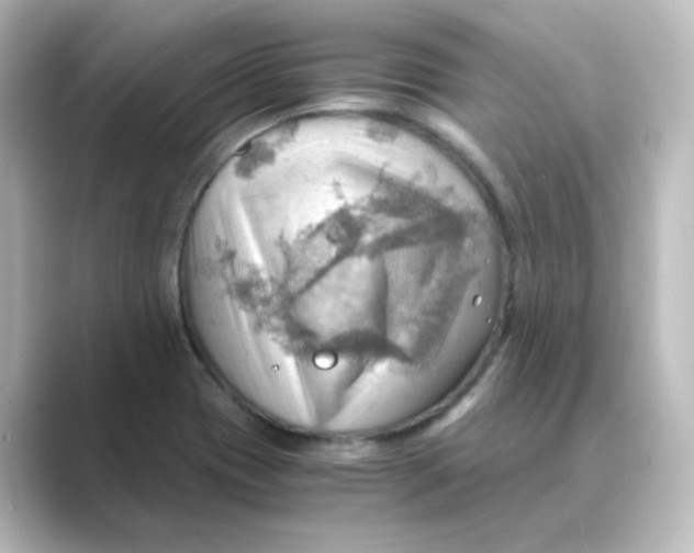 X0000088741417200706212049