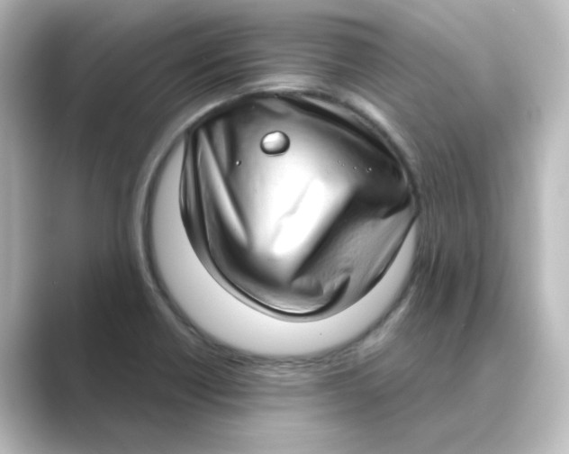 X0000088741418200706212049