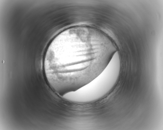 X0000088741420200706212049