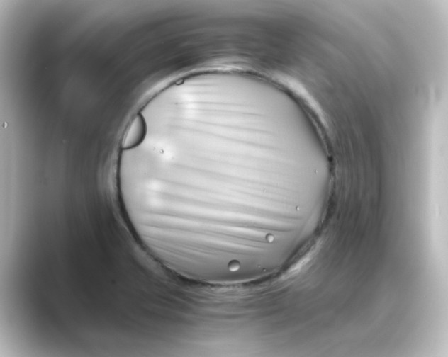 X0000088741421200706212049