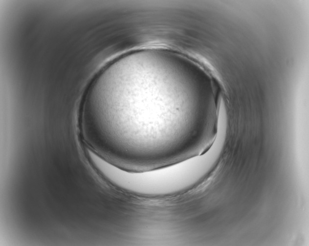 X0000088741422200706212049