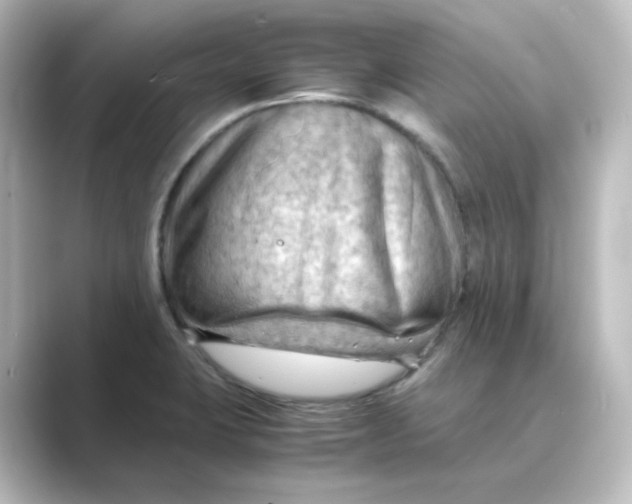 X0000088741423200706212049