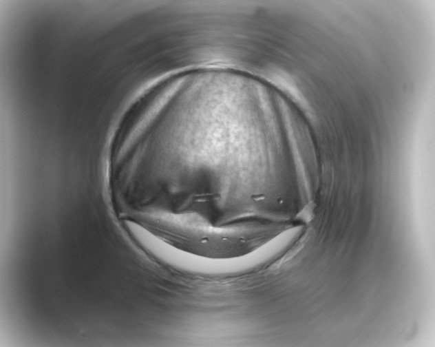 X0000088741424200706212049