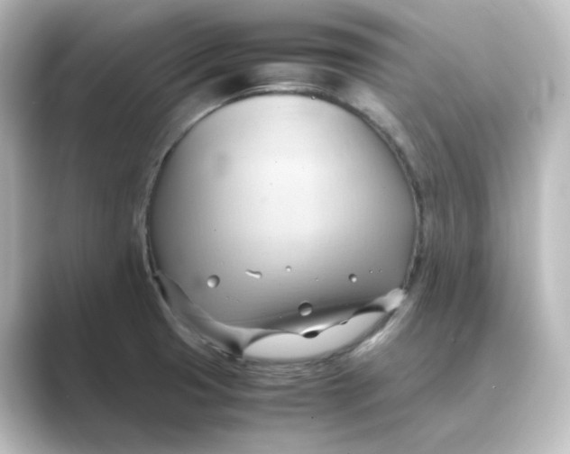 X0000088741425200706212049