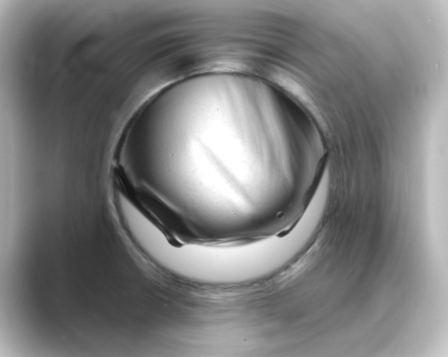 X0000088741426200706212049