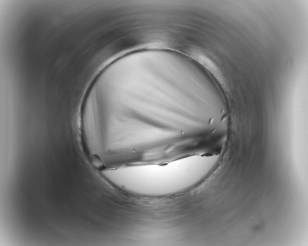 X0000088741428200706212049