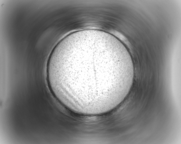 X0000088741431200706212049