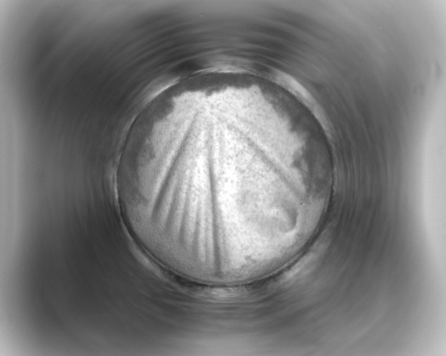 X0000088741433200706212049