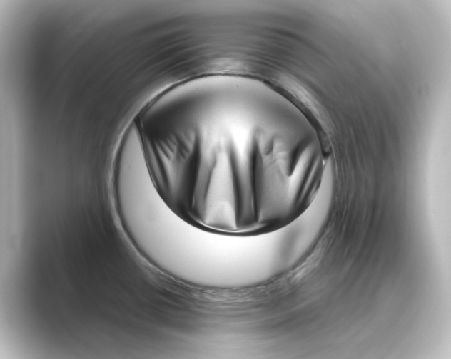 X0000088741434200706212049