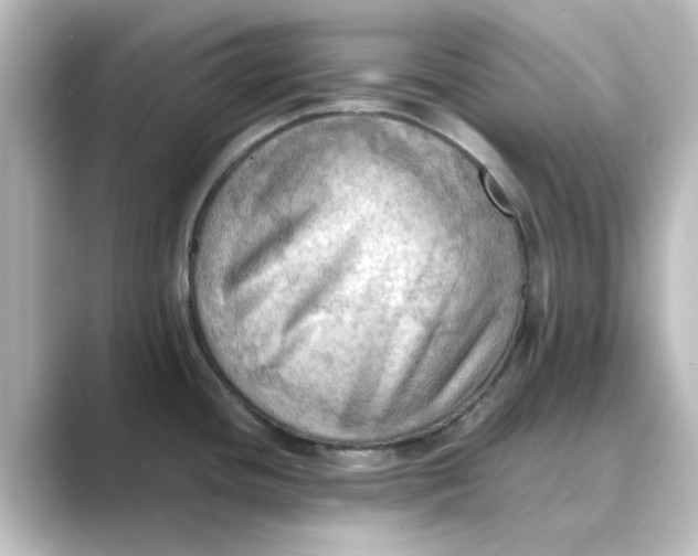 X0000088741436200706212049