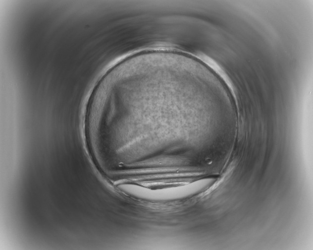 X0000088741437200706212049