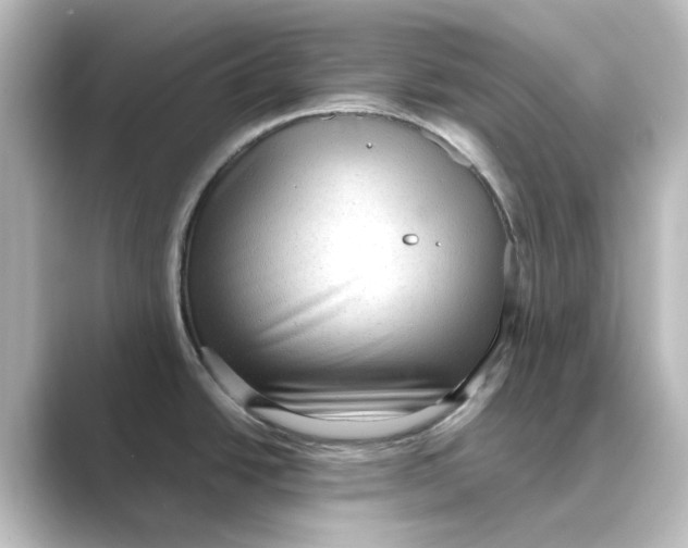 X0000088741438200706212049