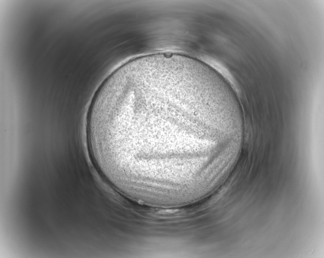 X0000088741439200706212049