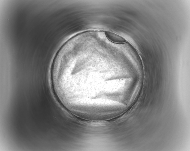 X0000088741440200706212049