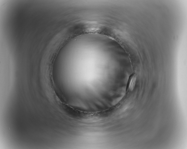 X0000088741441200706212048