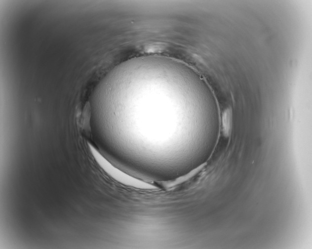 X0000088741443200706212048