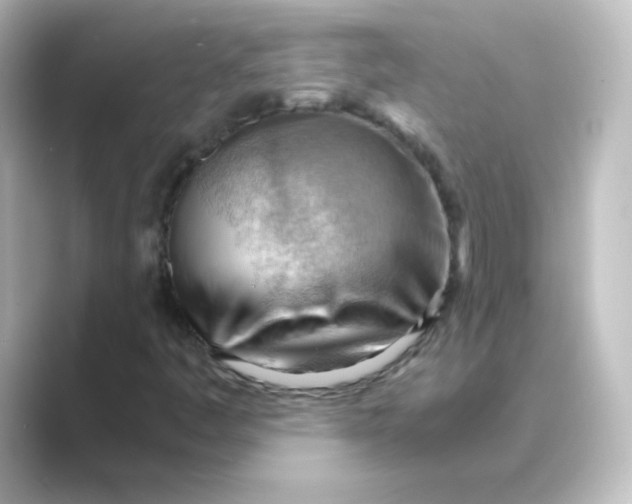 X0000088741445200706212048