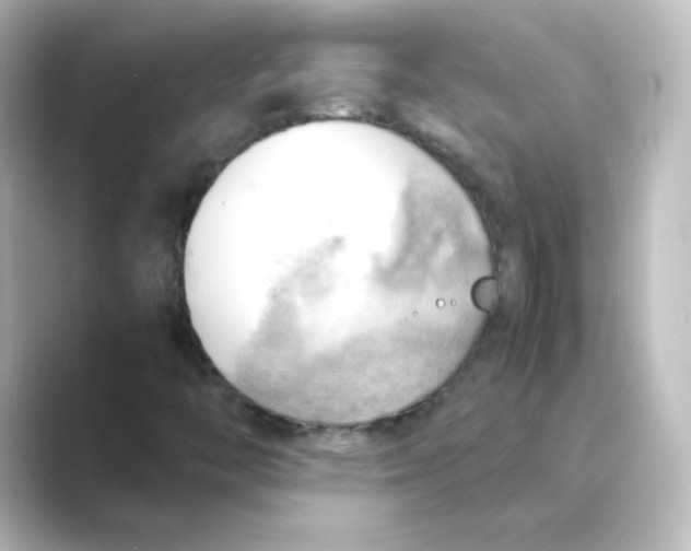 X0000088741446200706212048